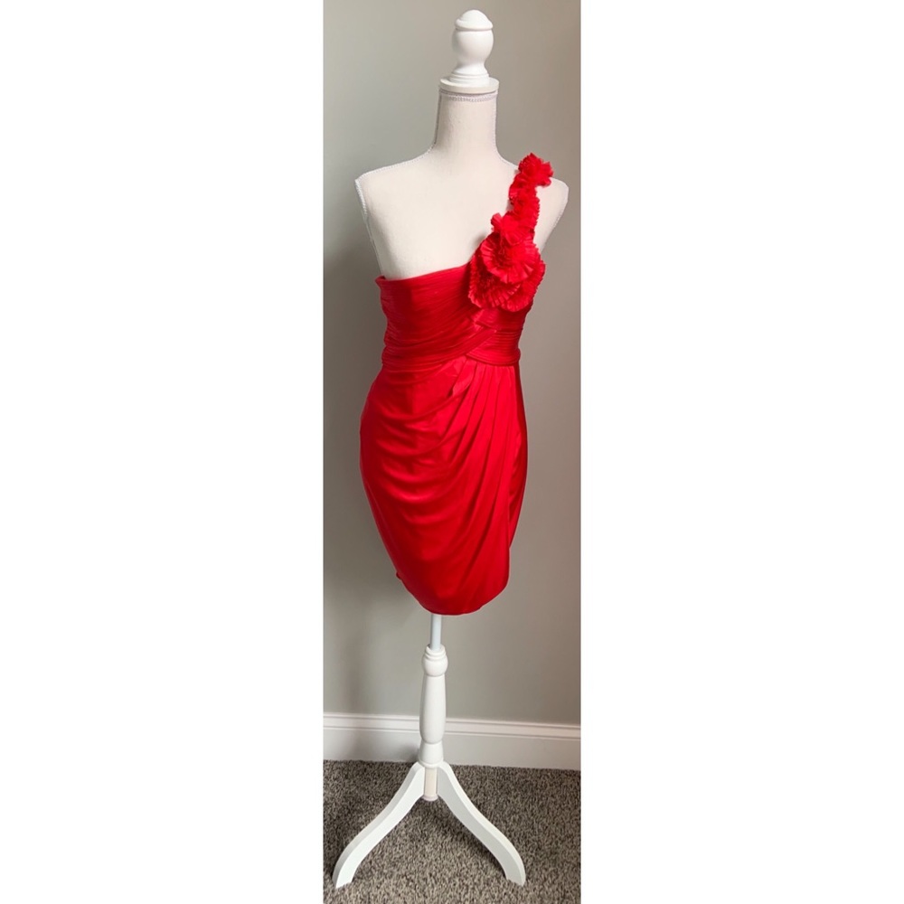 Designer BCBG dress